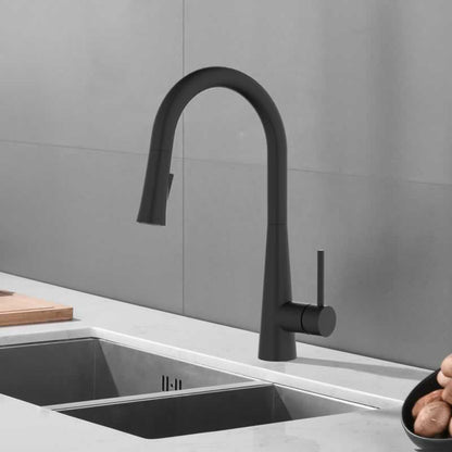 360° Swivel Kitchen Faucet - Matte Black