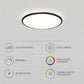 Smart LED Flush Mount Light - Adjustable