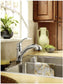 Pullout Kitchen Faucet One-Handle Low Arc